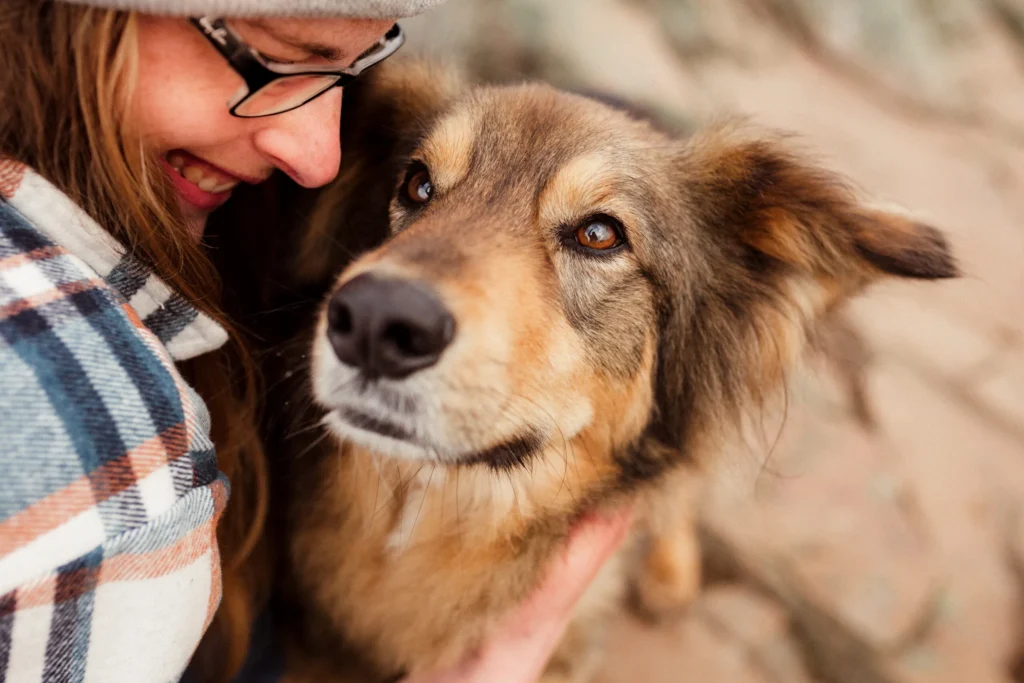 Online Workshop Bindung Mensch Hund